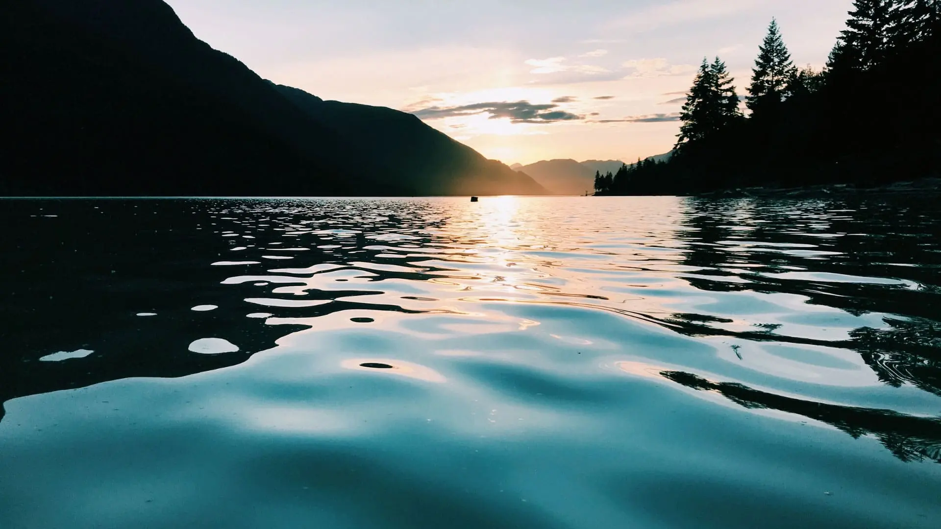 Școala Medicina Vieții - medicina energetică a Păstrătorilor Pământului din Anzii înalți (Peru) cu Valentin Neață și Sorin Suciu